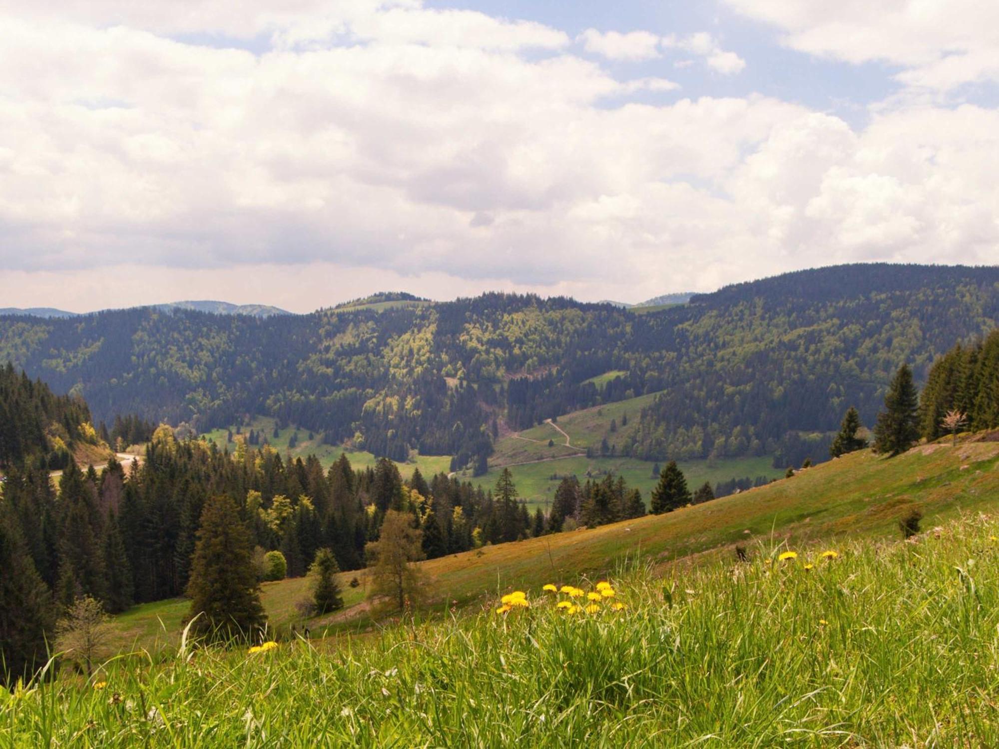 Relaxapartments Black Forest Moments - Maisonette-Wohnung Mit Sonnenbalkon, Schnelles Internet, Naehe Triberger Wasserfaelle, Fuer Bis Zu 4 Personen Schönwalde Dış mekan fotoğraf