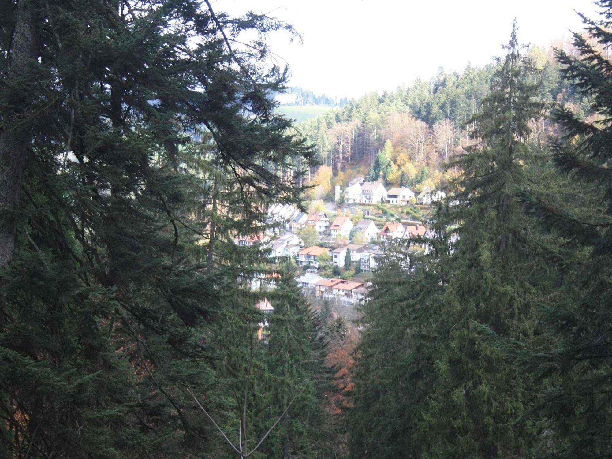 Relaxapartments Black Forest Moments - Maisonette-Wohnung Mit Sonnenbalkon, Schnelles Internet, Naehe Triberger Wasserfaelle, Fuer Bis Zu 4 Personen Schönwalde Dış mekan fotoğraf