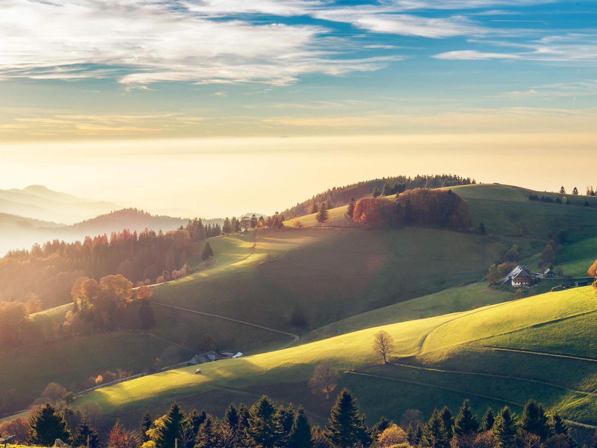 Relaxapartments Black Forest Moments - Maisonette-Wohnung Mit Sonnenbalkon, Schnelles Internet, Naehe Triberger Wasserfaelle, Fuer Bis Zu 4 Personen Schönwalde Dış mekan fotoğraf